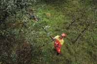 532-799 - GPH 18-EC Akku-Basismotor